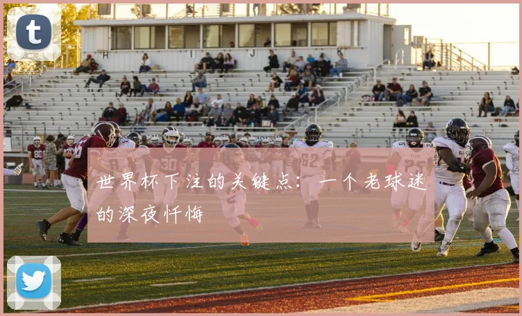 世界杯下注的关键点:一个老球迷的深夜忏悔
