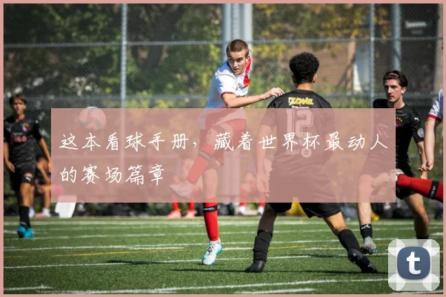 这本看球手册,藏着世界杯最动人的赛场篇章